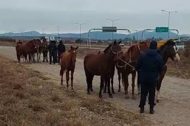 WhatsApp-Image-2025-07-02-at-12.30.52-PM-1