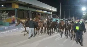 WhatsApp-Image-2025-06-10-at-10.19.36-AM-300x165