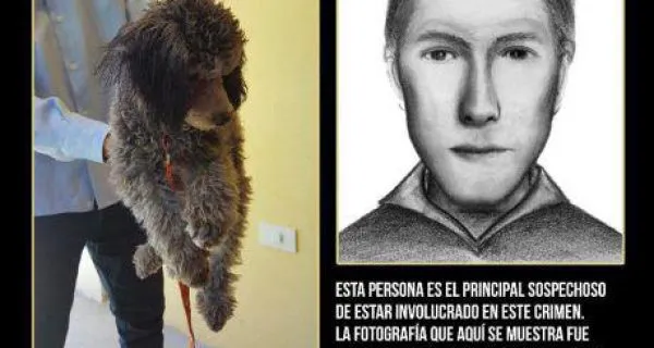 WhatsApp-Image-2025-11-28-at-13.48.52-1-600x320