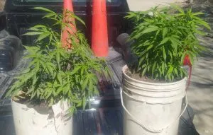 WhatsApp-Image-2025-07-29-at-4.00.28-PM-300x191