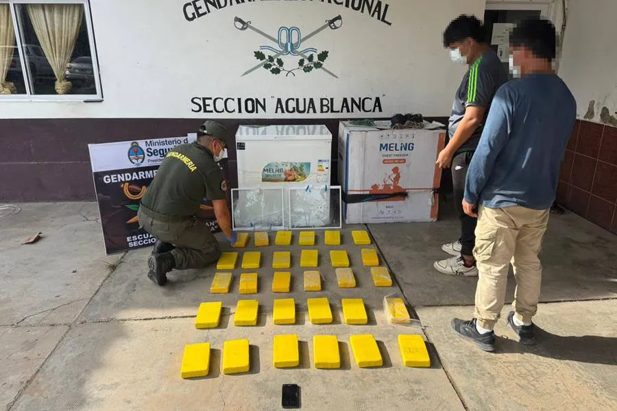 salta-_freezer-_cocaina-31_kilos_1