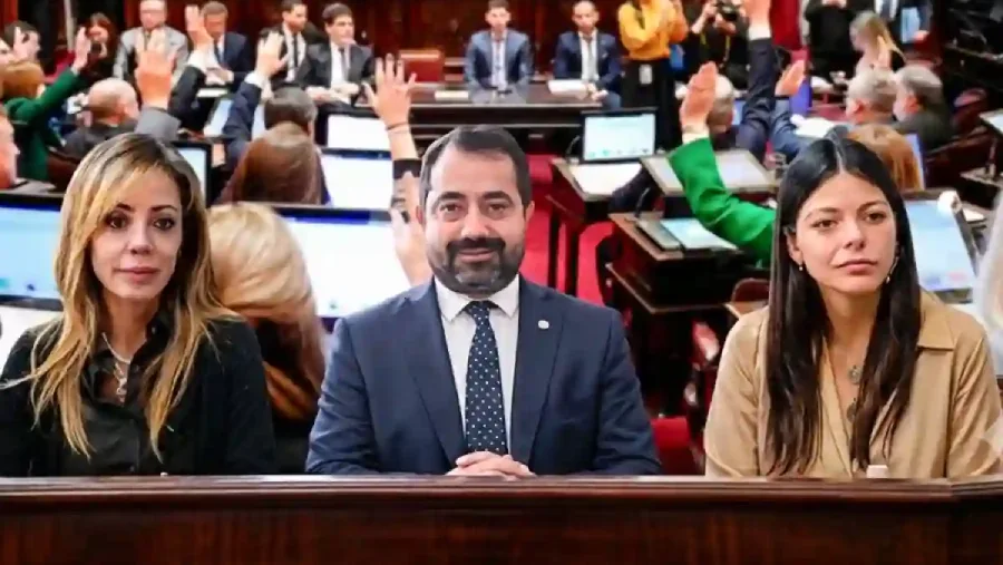 69289-voto-saltenio-entre-el-apoyo-y-el-rechazo-por-errores-tecnicos-en-el-senado