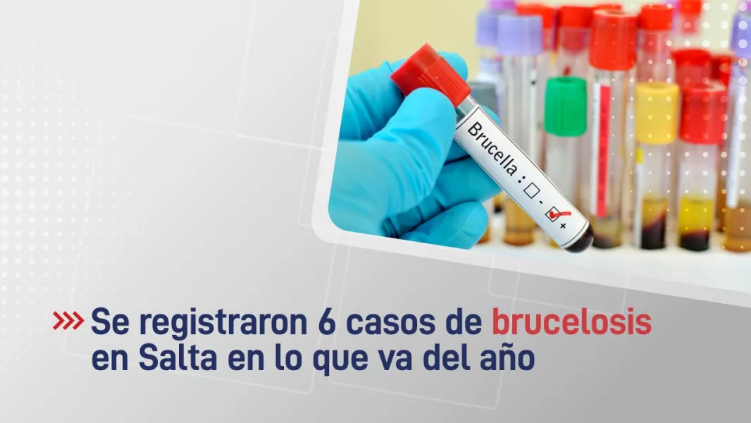 104812-suman-seis-los-casos-de-brucelosis-en-salta