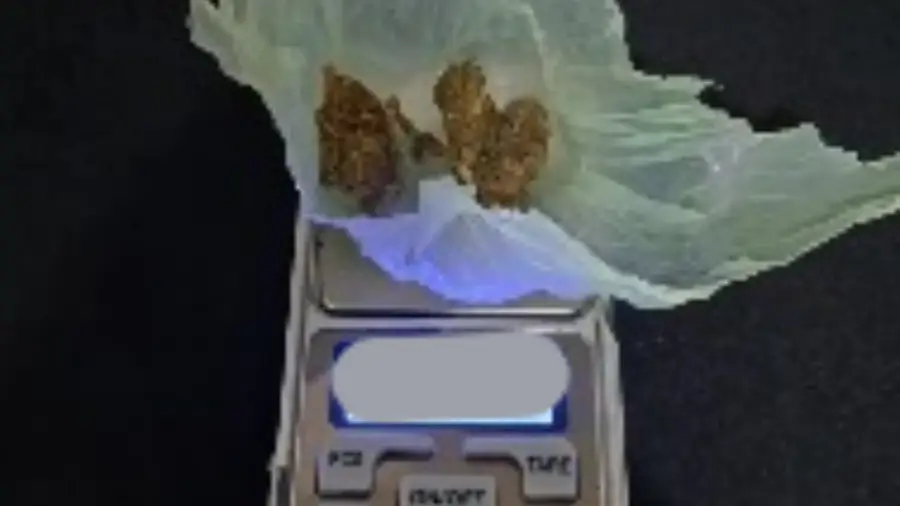 image-2026-03-29T193322.211-1