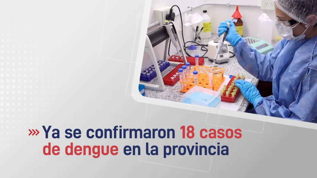 100801-en-la-provincia-ya-se-confirmaron-18-casos-de-dengue