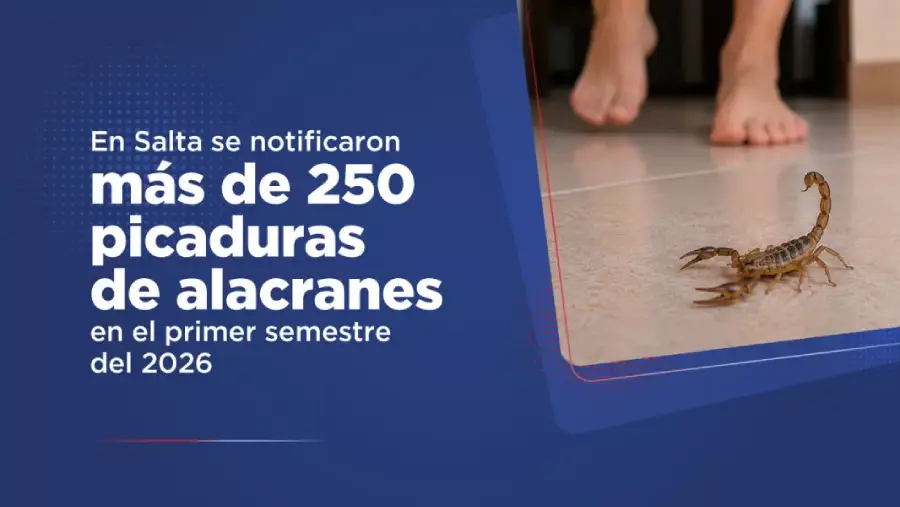 109082-mas-de-250-picaduras-de-alacranes-fueron-notificadas-durante-el-primer-semestre-en-la-provincia