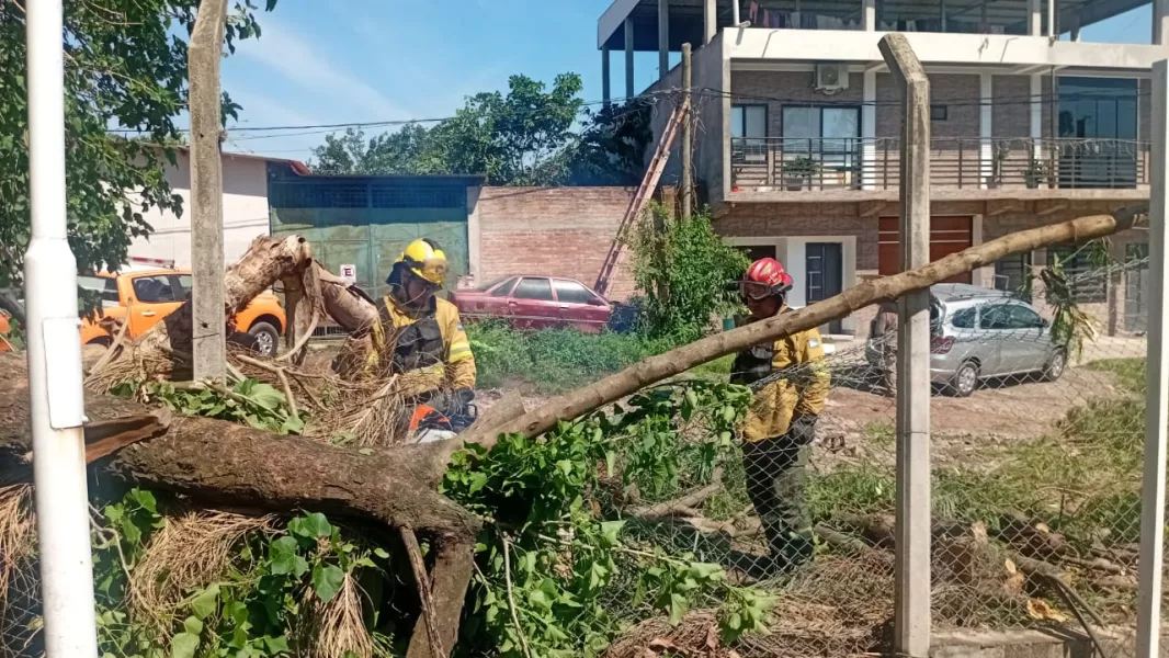 105157-defensa-civil-intervino-en-las-zonas-afectadas-por-el-temporal-en-aguas-blancas