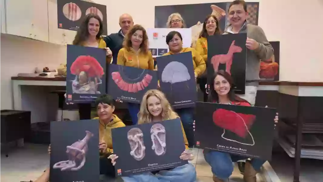 101343-maam-viajero-llega-a-tartagal