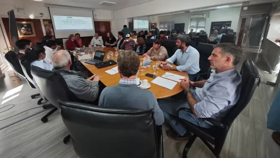 25232-reunion-con-productores