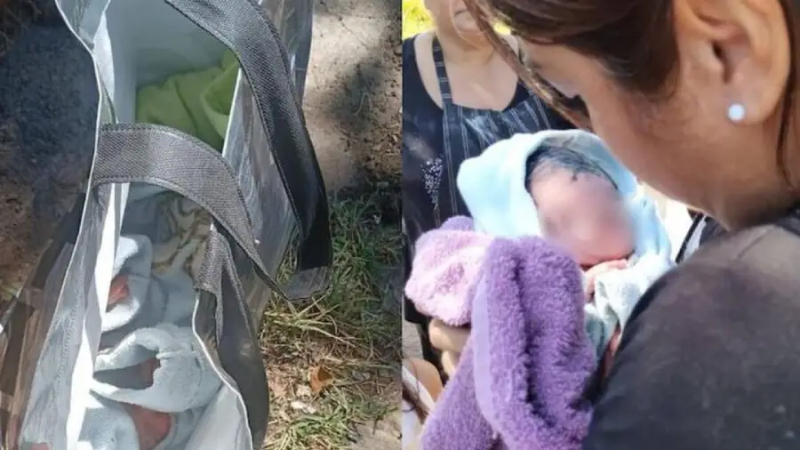 646501826_1358054743033347_1303560568299219155_n