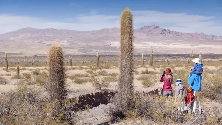 20288-cachi-representara-a-la-argentina-en-el-certamen-mundial-best-tourism-villages-2026