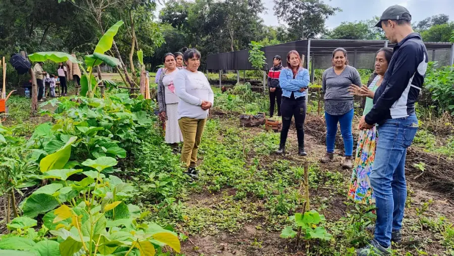 12232-agricultores-originarios-de-tartagal-fueron-capacitados-en-sistema-agroforestal