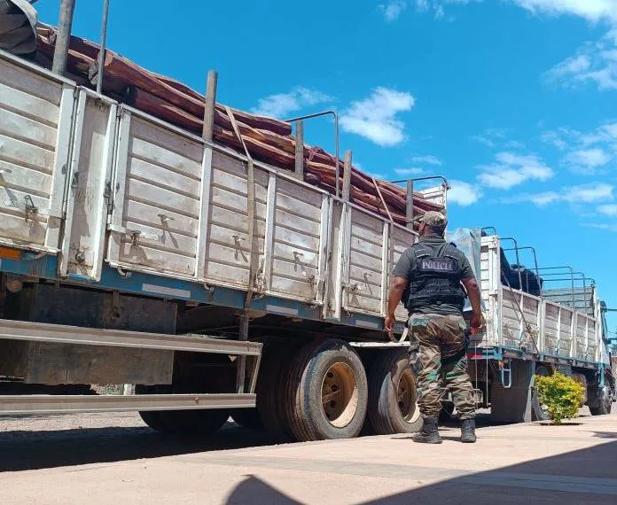 87b95d39-c7d2-4178-937e-a29312af8c4f-696x696