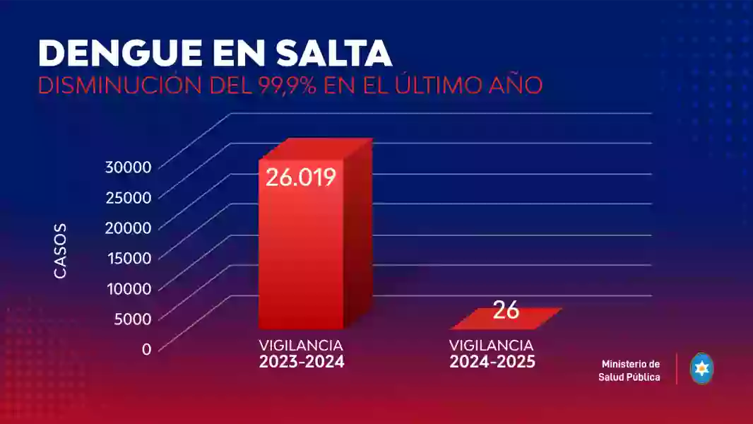 19876-salud-publica-lanza-el-plan-estrategico-de-abordaje-integral-contra-las-enfermedades-transmitidas-por-mosquitos-para-la-temporada-20252026
