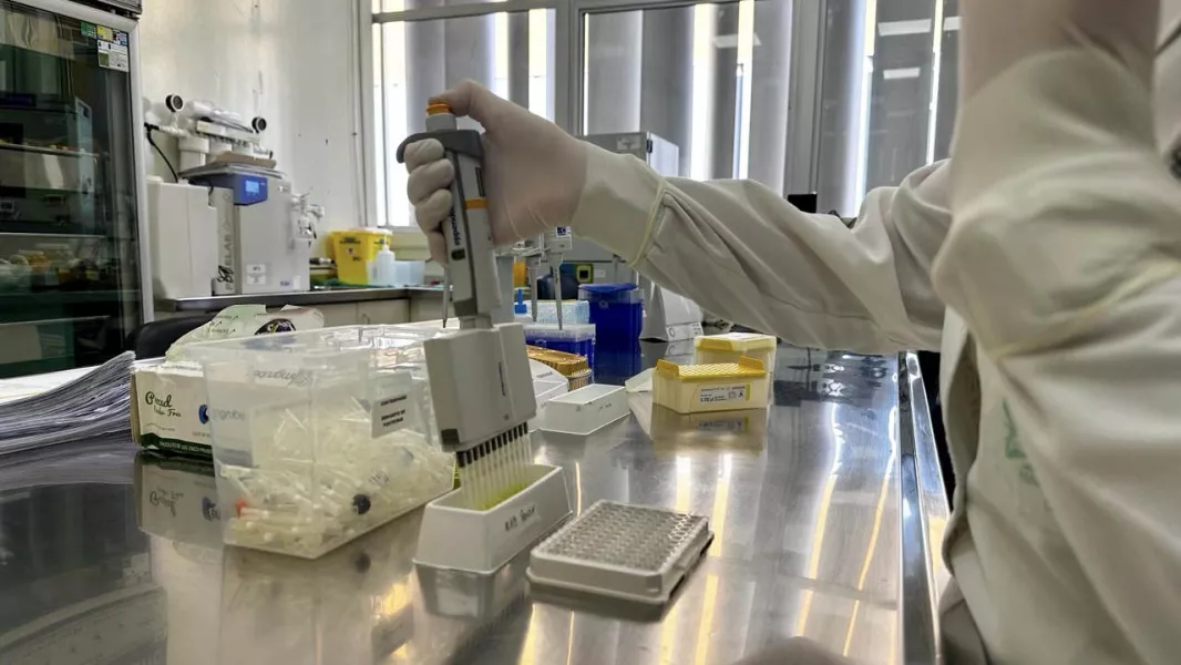100941-confirman-tres-nuevos-casos-de-dengue-en-salta