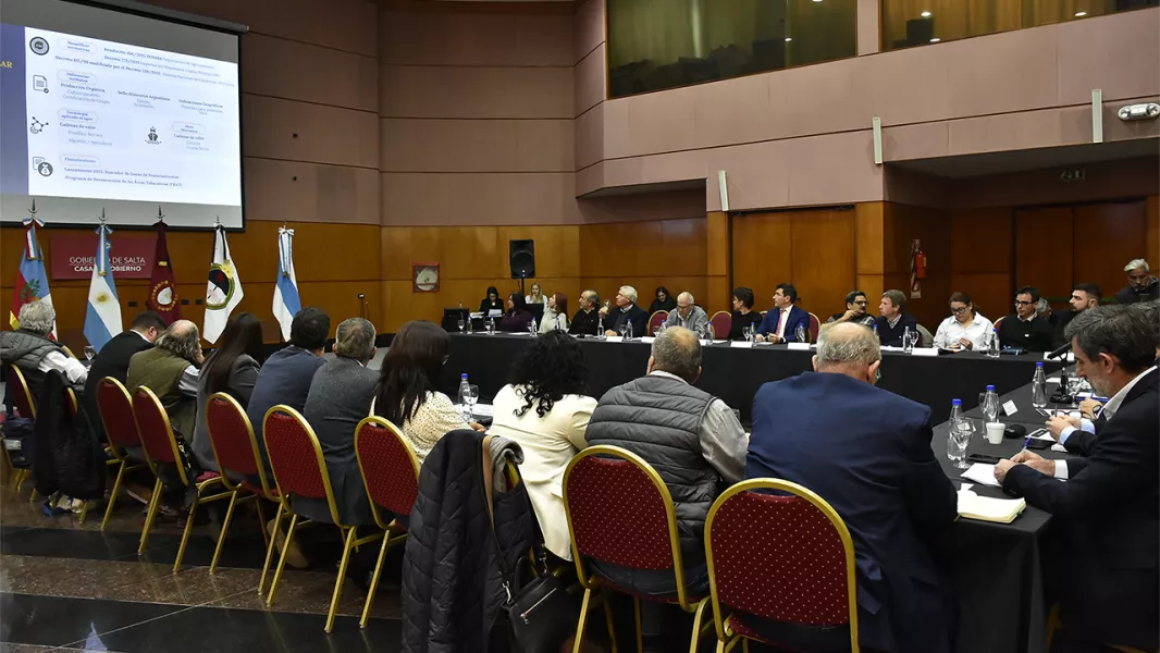 19034-salta-fue-sede-de-la-segunda-reunion-del-consejo-federal-agropecuario-regional-noa-2025-20250820213356
