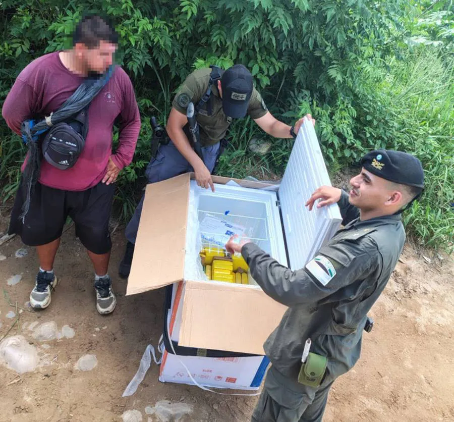 salta-_freezer-_cocaina-31_kilos_2