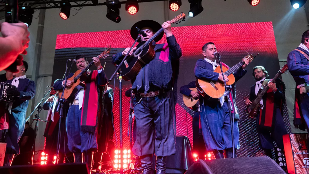 19783-chaquenio-palavecino