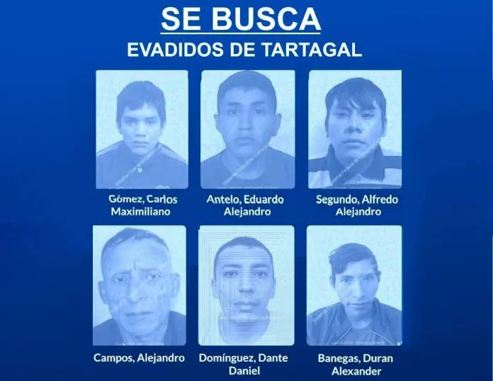 WhatsApp-Image-2025-06-03-at-8.48.43-AM-696x696