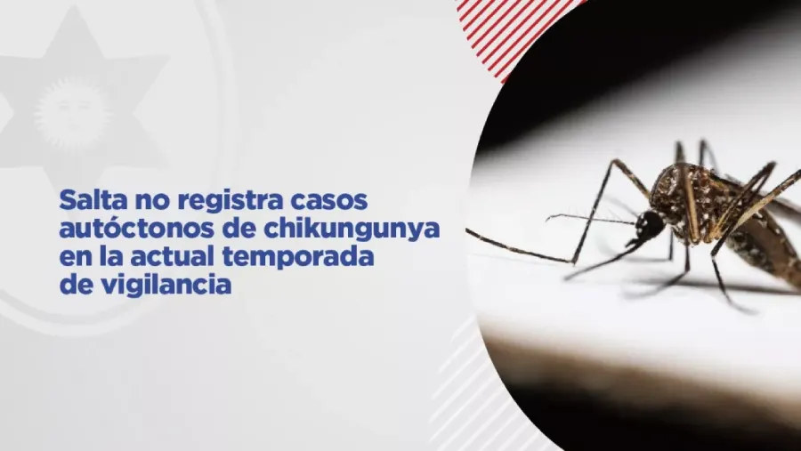 110071-salta-no-registra-casos-autoctonos-de-chikungunya-en-la-actual-temporada-de-vigilancia