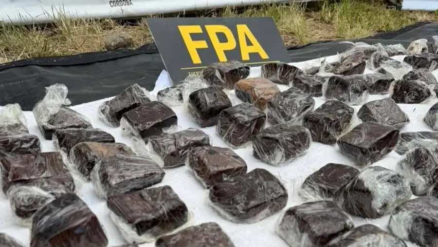 633920233_1513616960769536_3799007804920170300_n