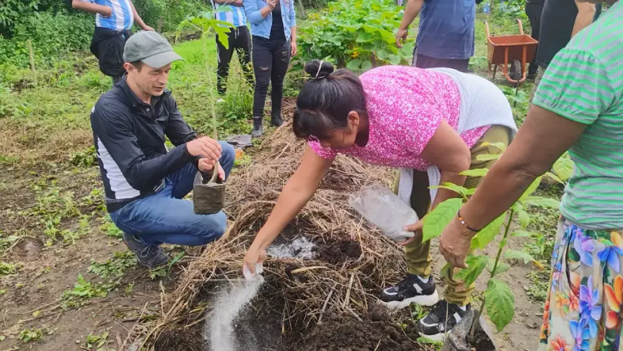 101604-agricultores-originarios-de-tartagal-fueron-capacitados-en-sistema-agroforestal
