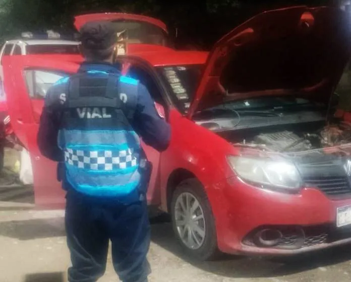 WhatsApp-Image-2025-12-28-at-22.56.07-696x1237