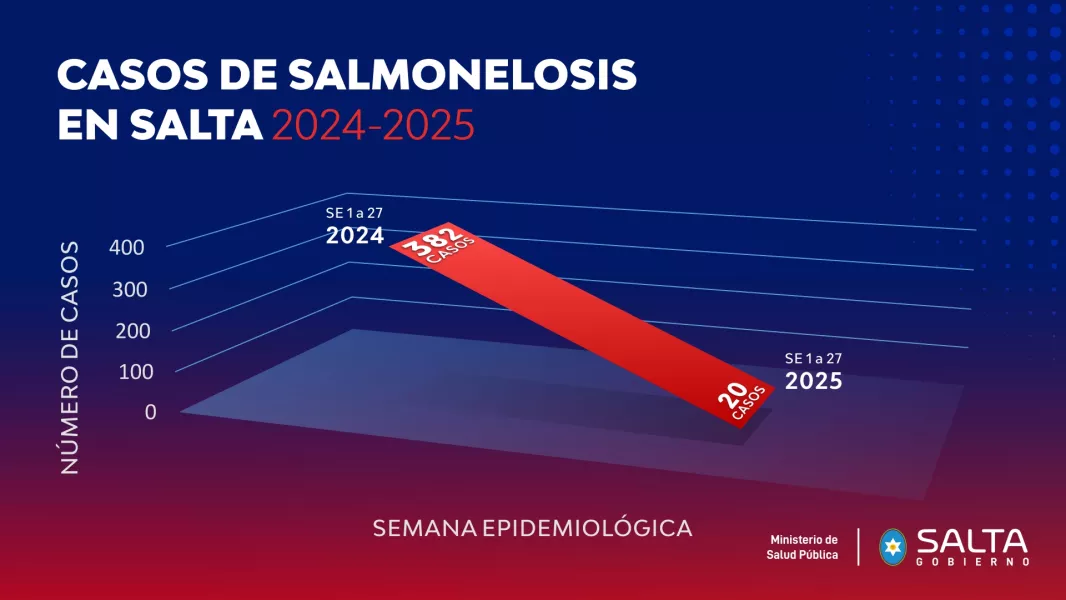 102779-los-casos-de-salmonelosis-disminuyeron-un-947-en-salta-20250718134002