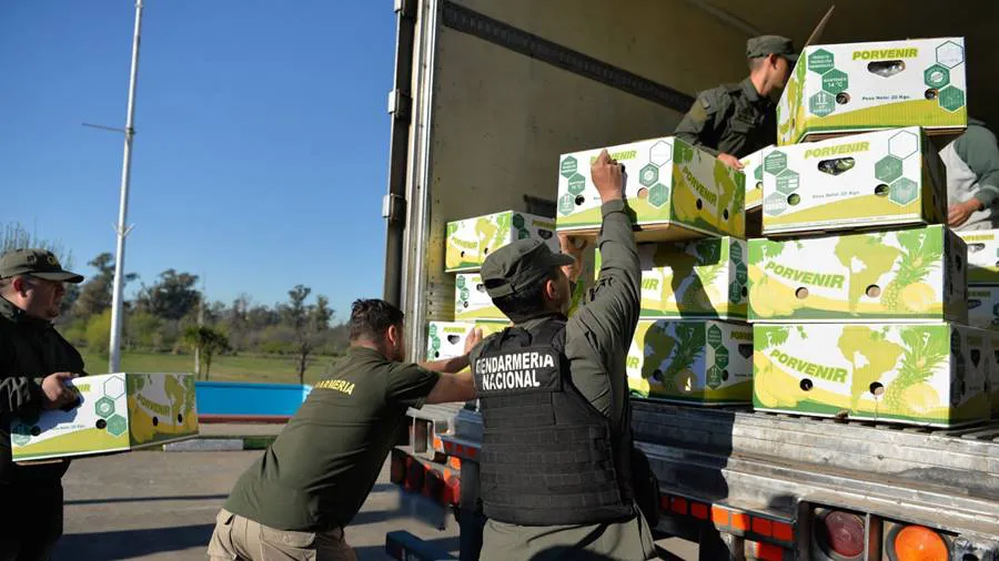 procedimiento_444_kilos_cocaina-bs_as-dos_allanamientos-06