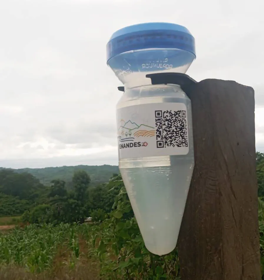 613542737_877064391699759_3082947789126497923_n