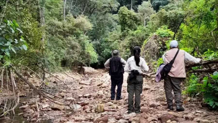 108221-se-mantienen-estables-las-poblaciones-de-guacamayos-verdes-en-salta