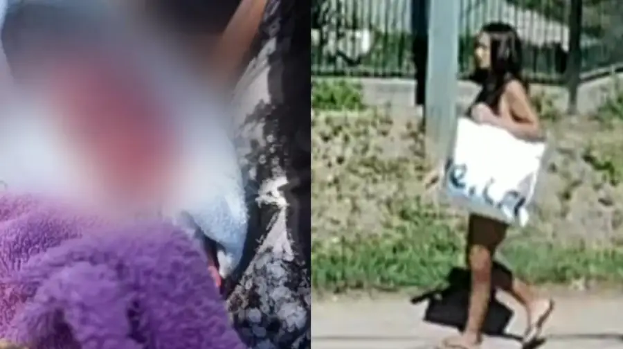 https___thumbs.vodgc.net_1-14-bvUOhD1772641620365-1772668405