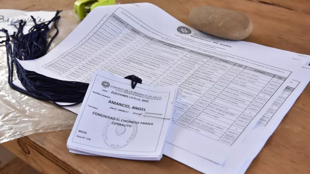 16835-representantes-originarios-eligieron-a-los-integrantes-del-consejo-directivo-del-ippis