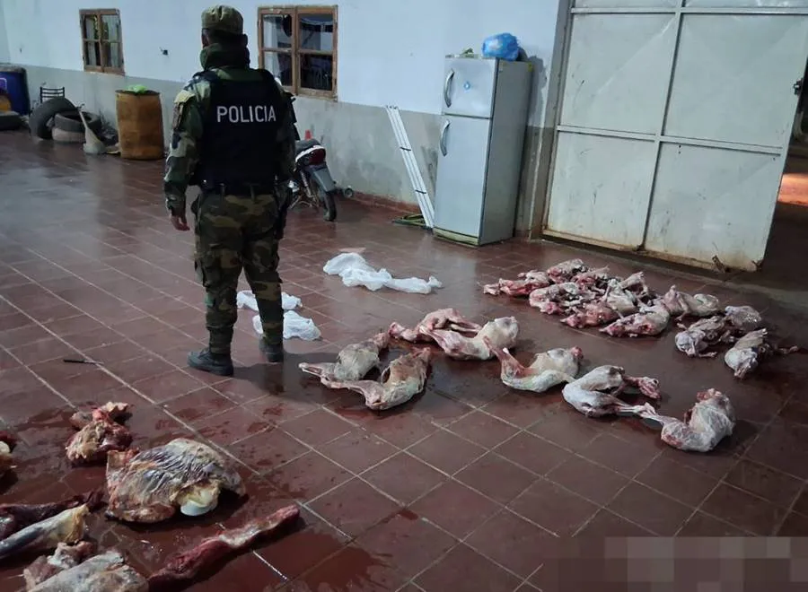 WhatsApp-Image-2025-08-07-at-10.12.10-AM-2-1024x803