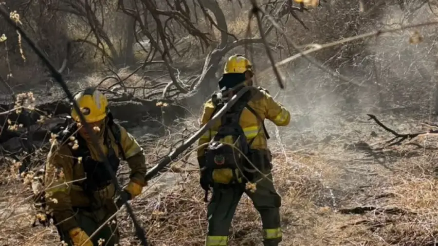 23724-intensificaron-los-trabajos-de-lucha-contra-los-incendios-en-cafayate