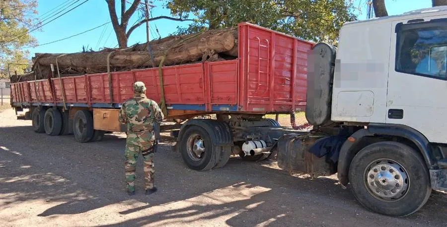 WhatsApp-Image-2025-08-12-at-9.27.28-PM