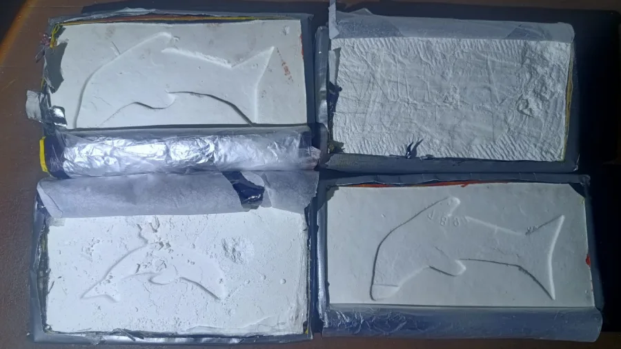 4_kilos_cocaina_en_doble_fondo-_tucuman_4