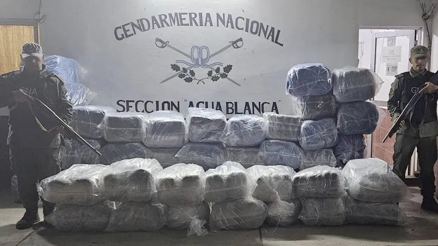 un_grupo_de_personas_descartaron_bultos_con_187_kilos_de_marihuana_y_672_kilos_de_hojas_de_coca_en_estado_natural_3