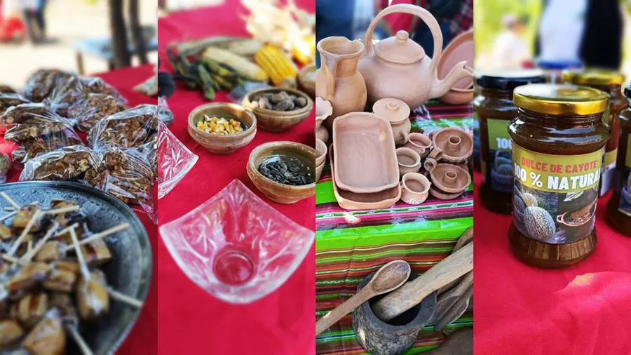 FeriaCañaAzucarMazzaNW