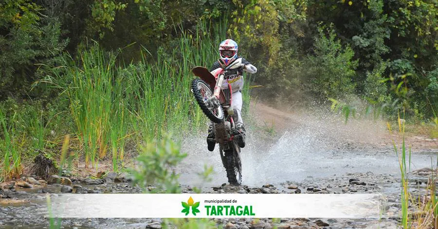 WEB-TARTAGAL-SUNS-RACE