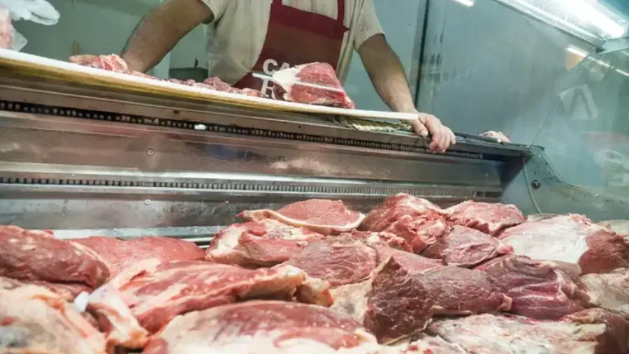 carne-768x474