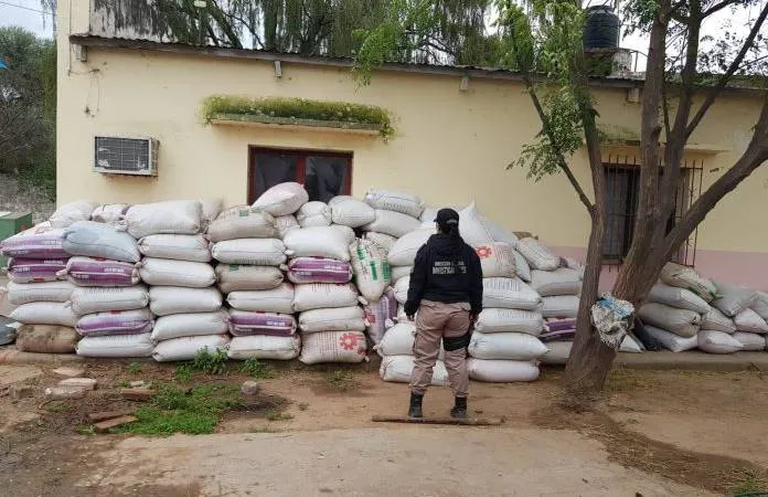 8157beae-e2f5-4db6-a289-47c35885bbfd-696x522