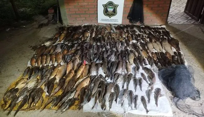 WhatsApp-Image-2025-10-13-at-10.12.47-696x522