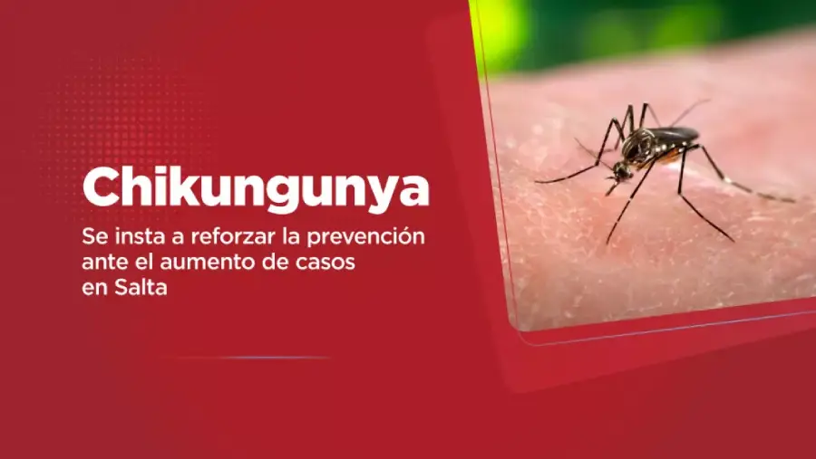 106981-chikungunya-salud-insta-a-reforzar-la-prevencion-ante-un-incremento-del-43-de-casos