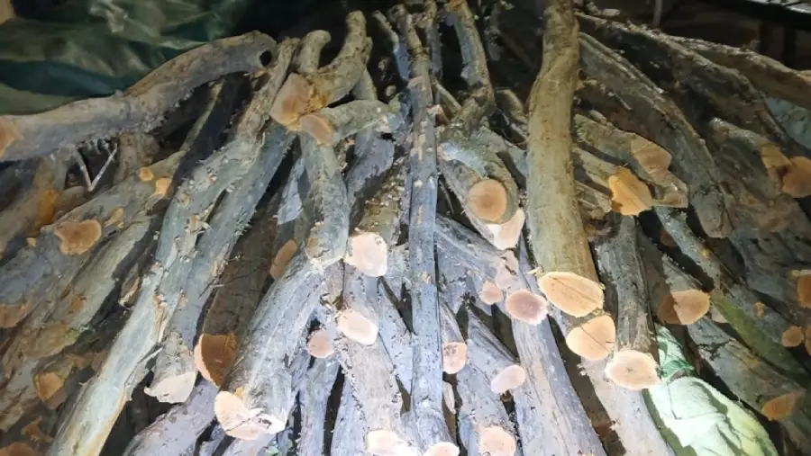 WhatsApp-Image-2026-03-22-at-11.40.44-1024x768