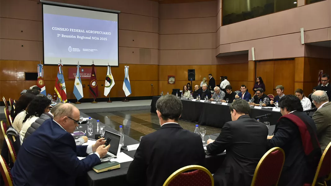19035-salta-fue-sede-de-la-segunda-reunion-del-consejo-federal-agropecuario-regional-noa-2025