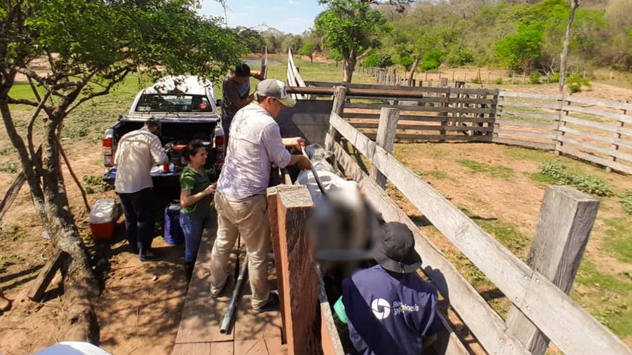 571803210_821516153921250_3777975141630984944_n