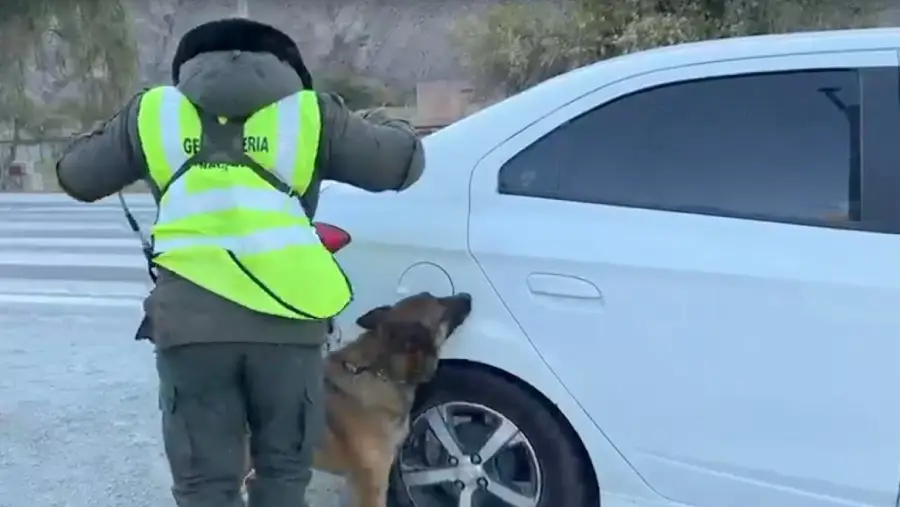 manifestaron_que_iban_a_realizar_turismo_por_buenos_aires_pero_transportaban_25_kilos_de_cocaina_dentro_del_tanque_de_combustible_2