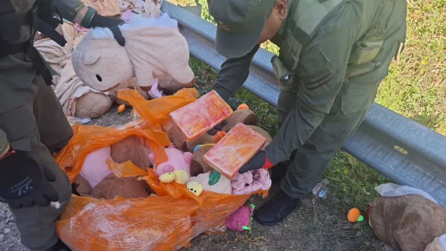 esconden_49_kilos_de_marihuana_y_4_kilos_de_cocaina_en_capibaras_de_peluches_1