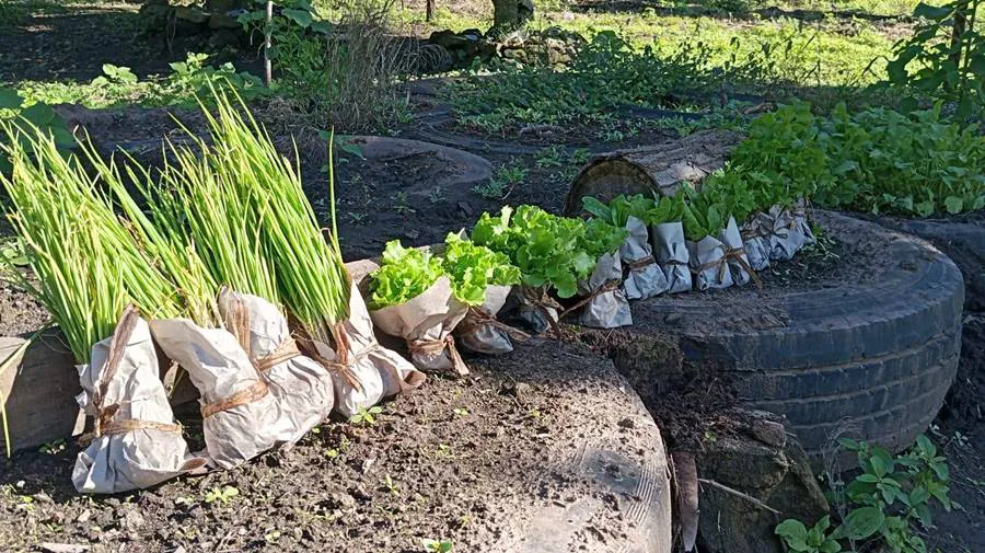 496314052_690922210313979_5803745241192328915_n